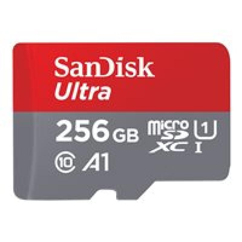 SANDISK Ultra Class 10 256GB