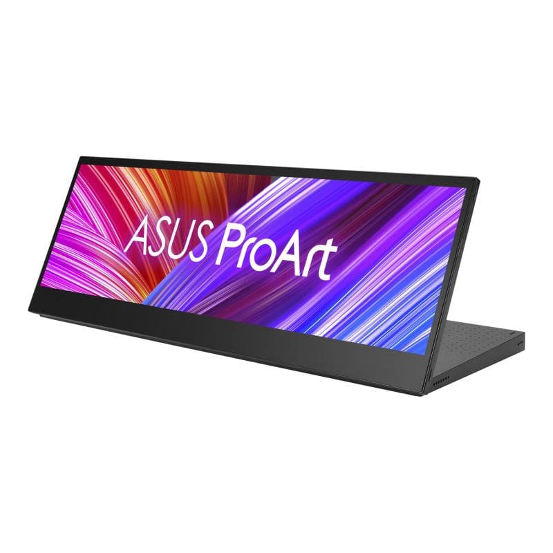 ASUS Profess. PA147CDV 35,6cm (14″)