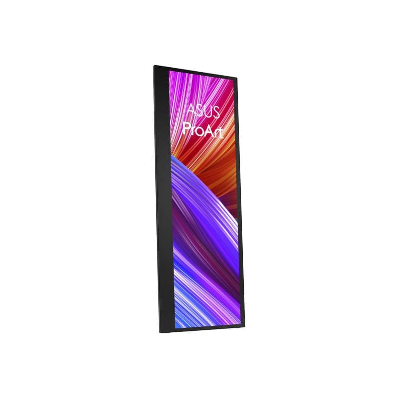 ASUS Profess. PA147CDV 35,6cm (14″)