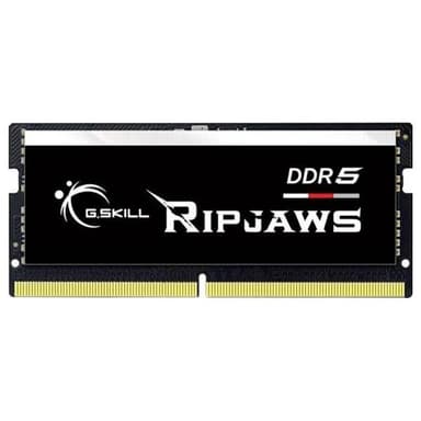 G.SKILL 32GX1-RS 1.2 32GB