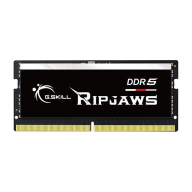 G.SKILL 16GX1-RS 1.2 16GB