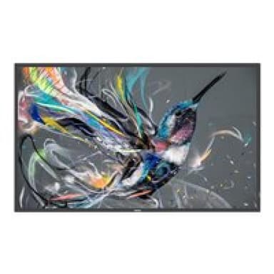 PHILIPS Q-Line 43BDL3511Q 109cm (43″)