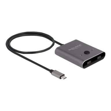 DELOCK USB 10 Gbps USB Type-C Switch 2 auf 1 bidirektional 8K