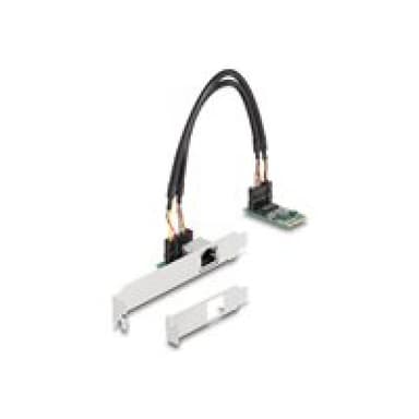 DELOCK Konverter M.2 Key B+M 1 x RJ45 2,5 Gigabit LAN