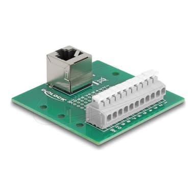 DELOCK RJ50 Buchse zu Terminalblock mit Drucktaster fur Hutschiene gewinkelt