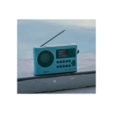 SANGEAN WFR-28BT Internet Tischradio DAB+, FM WLAN, Bluetooth®, AUX Akku-Ladefunktion