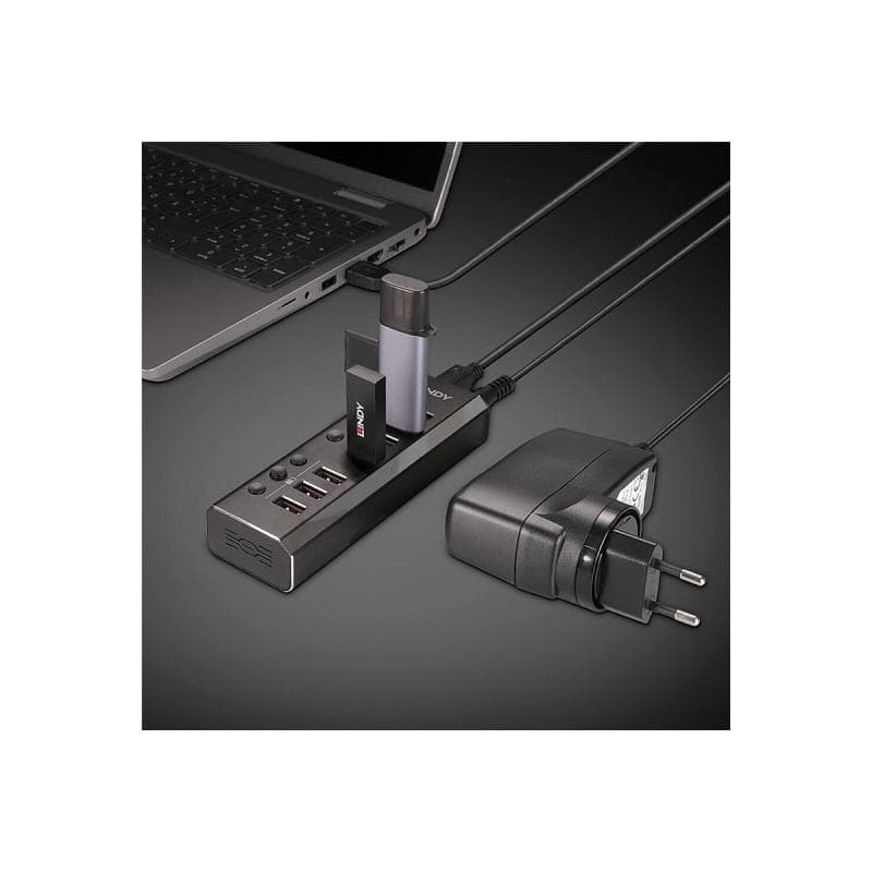 LINDY 4 Port USB 3.0 Hub mit 3 Schnellladeports