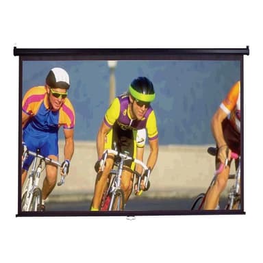 ELITE SCREENS Rollo Beamerleinwand  16:9 221*124cm MaxWhite
