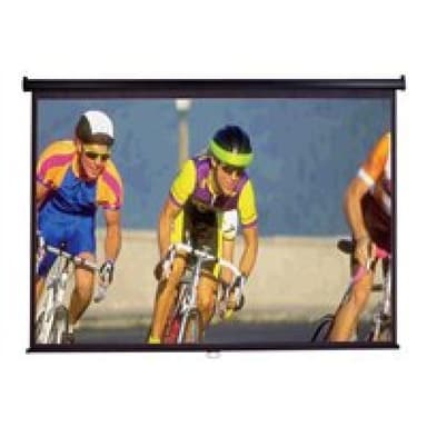 ELITE SCREENS Rollo Beamerleinwand  16:9 221*124cm MaxWhite