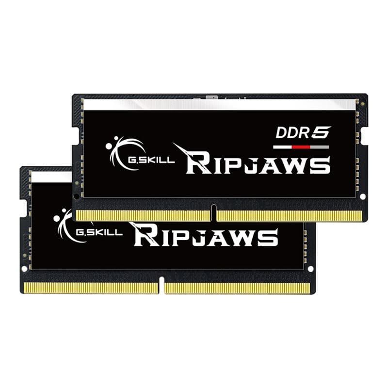 G.SKILL 32GX2-RS 1.2 32GB Kit (2x16GB)