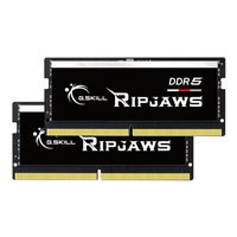 G.SKILL 32GX2-RS 1.2 32GB Kit (2x16GB)
