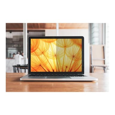 3M Bright Screen Privacy Filter for 17in, 16:10, BP170W1B