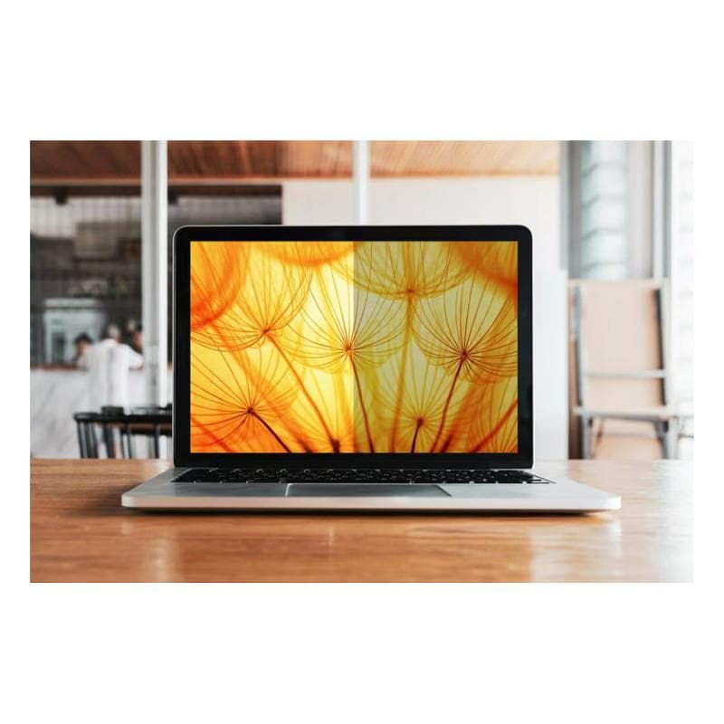 3M Bright Screen Privacy Filter for Dell 15.6in, 16:10, BPN