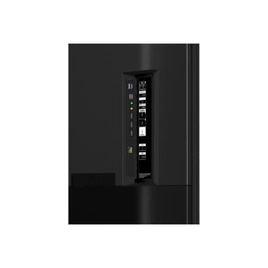 SONY Bravia Professional Displays FW-65EZ20L 164cm (65″)