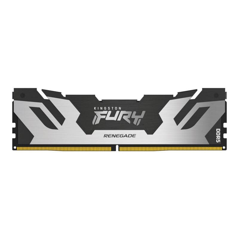 KINGSTON FURY Renegade Silver XMP 48GB