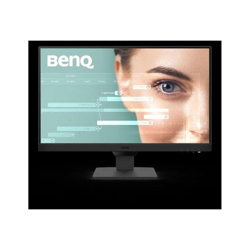 BENQ GW2490 60,5cm (23,8″)