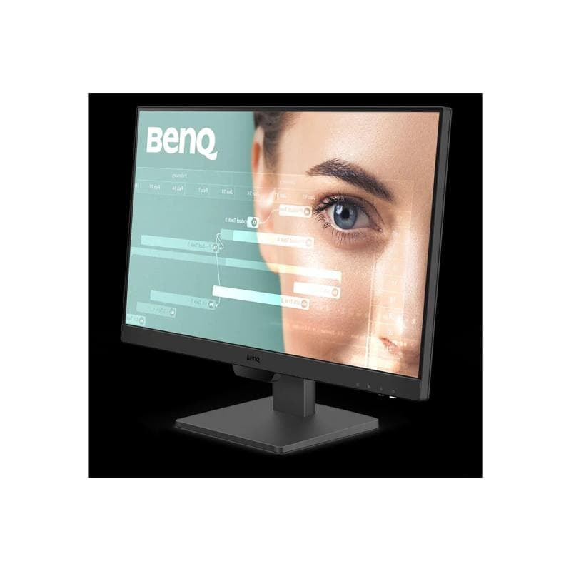 BENQ GW2490 60,5cm (23,8″)