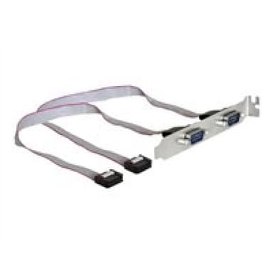DELOCK Slotblech - Seriell 2xPort