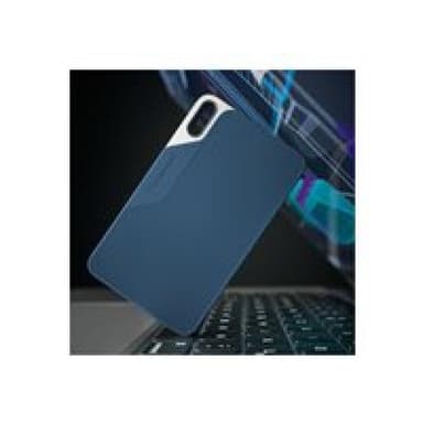 INTENSO Intenso TX100 250GB