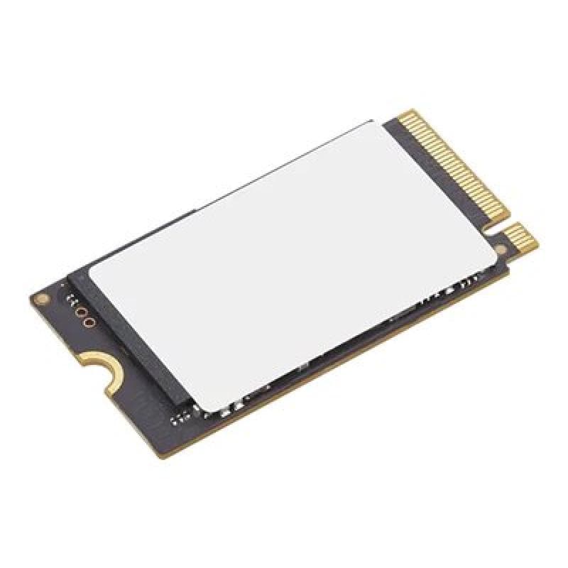 LENOVO 4XB1P80585 1TB