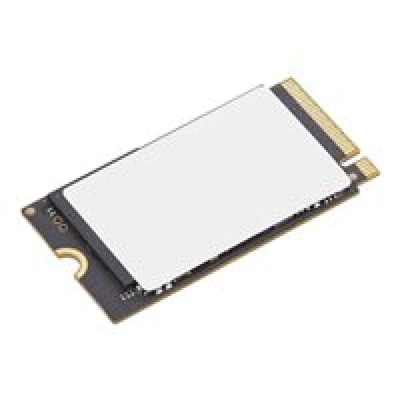LENOVO 4XB1P80585 1TB