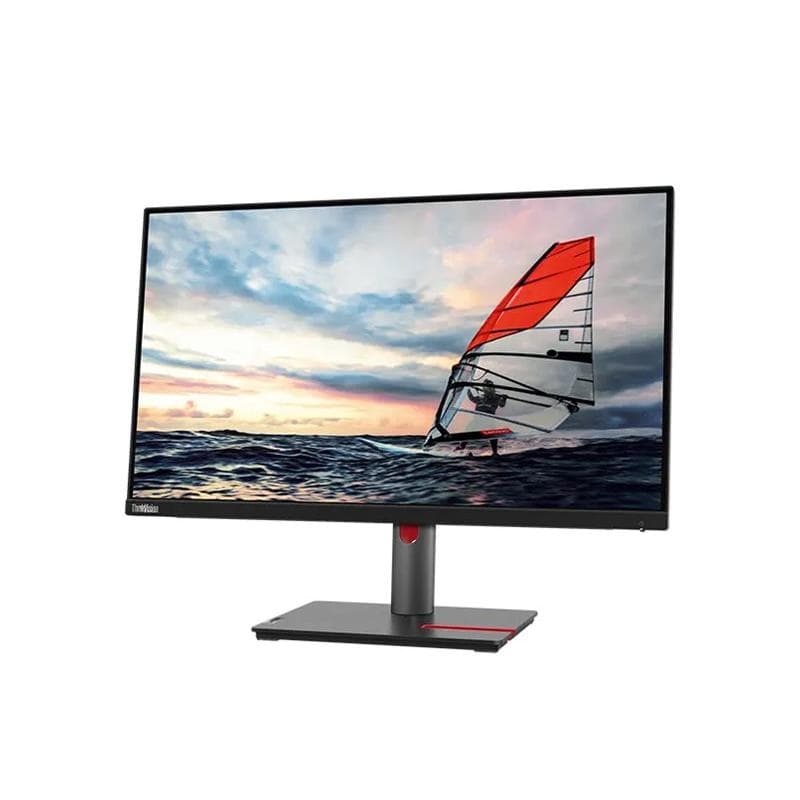 LENOVO ThinkVision P25i-30 62,23cm (24,5″)