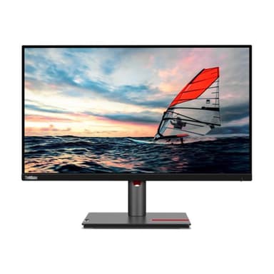 LENOVO ThinkVision P25i-30 62,23cm (24,5″)