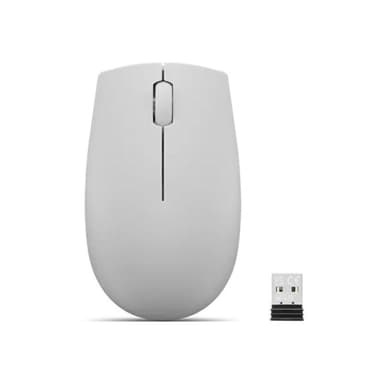 LENOVO 300 Kabellose Kompakte Maus, Arktis Grau