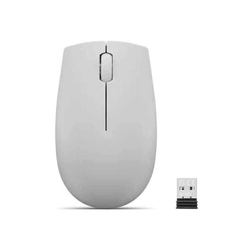 LENOVO 300 Kabellose Kompakte Maus, Arktis Grau