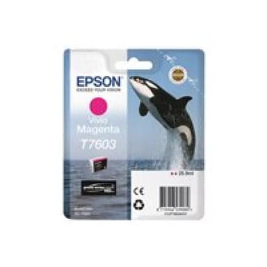 EPSON Ink/T7603 Viv Magenta