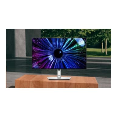 DELL LCD U2424HE 61cm (24″)