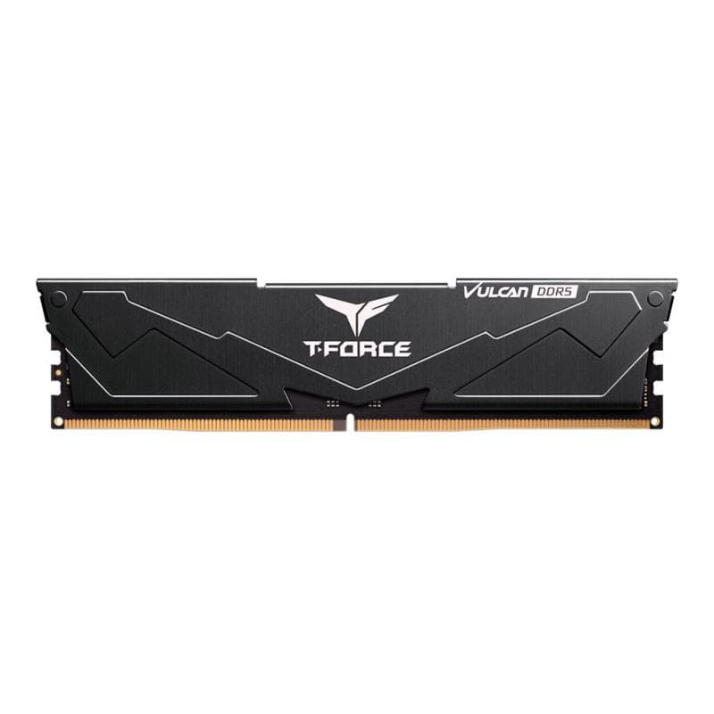 TEAM GROUP FLBD516G6000HC3001 16GB