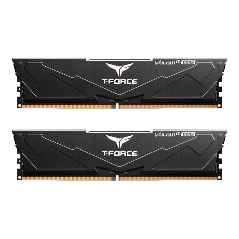 TEAM GROUP FLABD532G6000HC30DC01 32GB