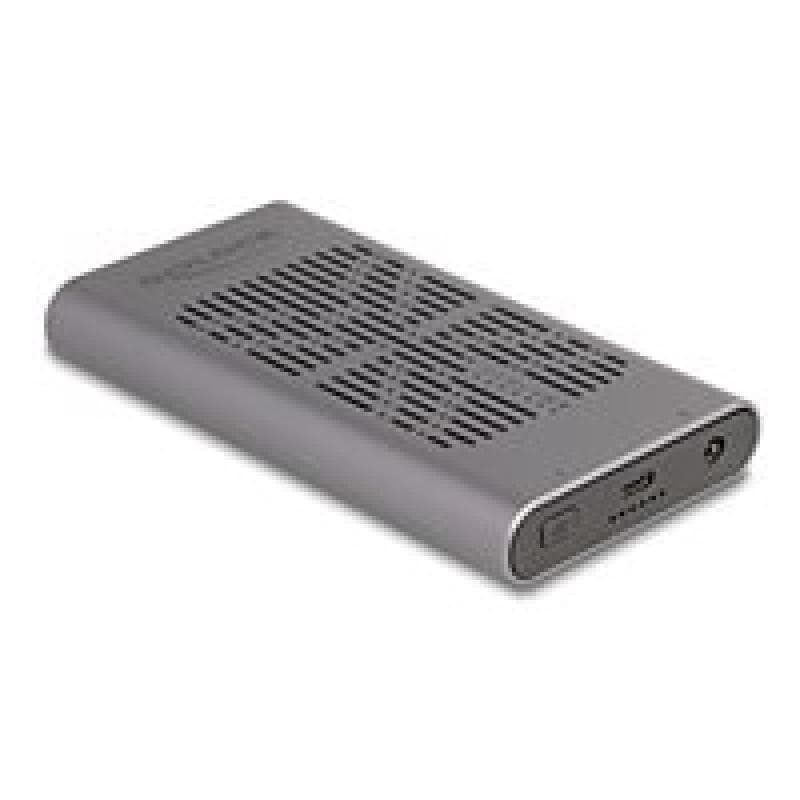 DELOCK Externes USB 20 Gbps Gehäuse 2 x M.2 NVMe PCIe SSD