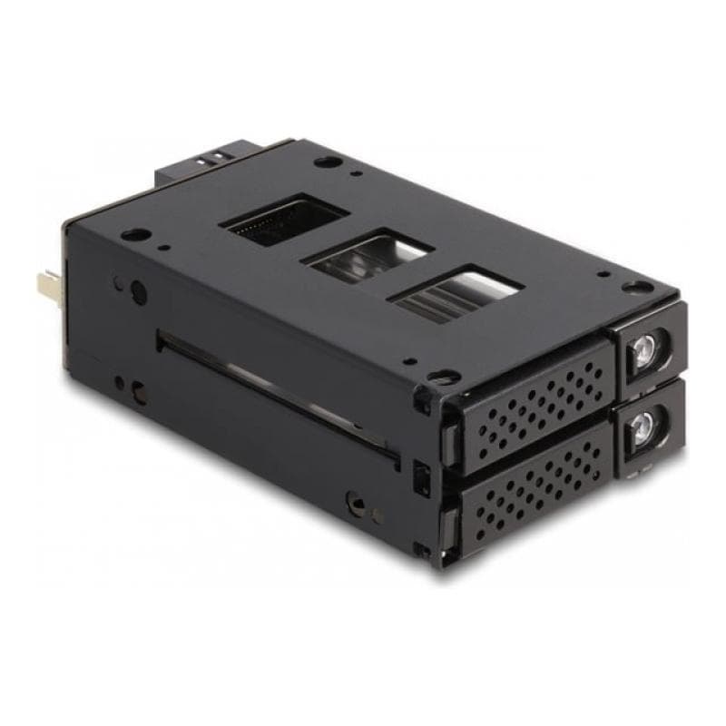DELOCK Slim Bay Wechselrahmen für 2 x 2.5 U.2 NVMe SSDSD