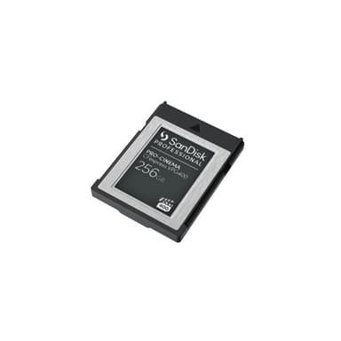 SANDISK Professional PRO-CINEMA 256GB