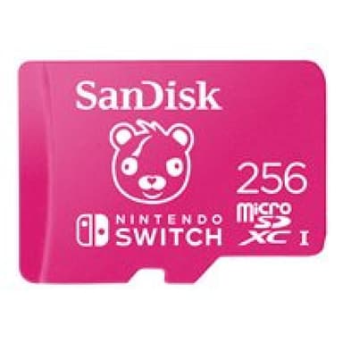 SANDISK microSDXC Extr 256GB