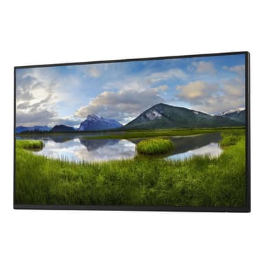 DELL P2425H 60,9cm (24″)