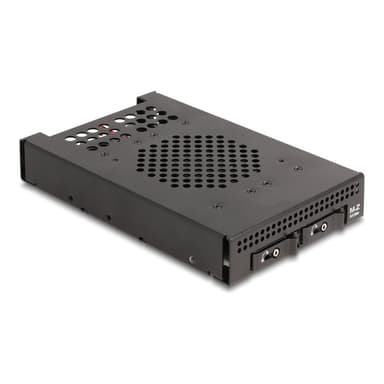 DELOCK 3.5″ Wechselrahmen für 2x M.2 NVMe SSD SFF-8612