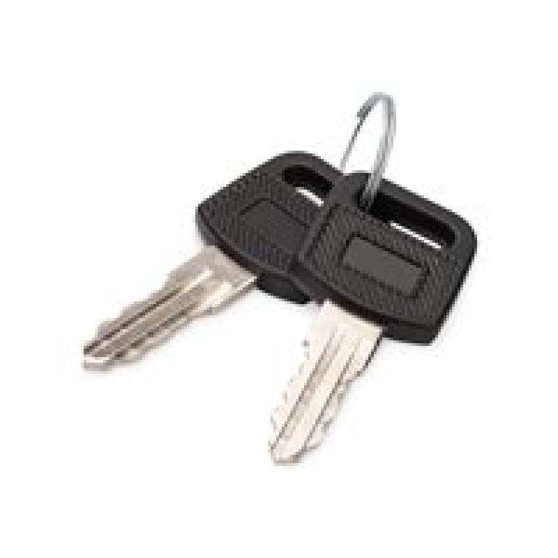 DIGITUS DN-KEY-WM 10 Zoll, 19 Zoll Netzwerkschrank-Schlüssel Schwarz, Silber