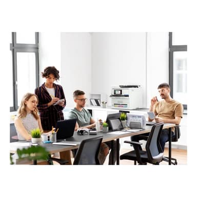 EPSON C11CK19401