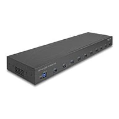 DELOCK 19″ Industrie Hub 10x USB 10 Gbps Typ-A