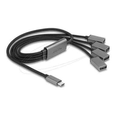 DELOCK 4 Port USB 2.0 Kabel-Hub mit USB Type-C Anschluss 60cm