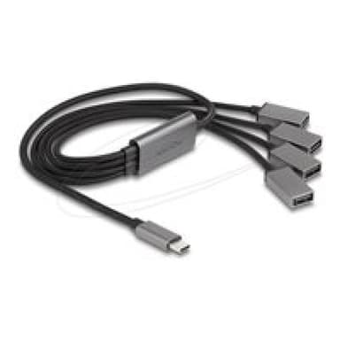 DELOCK 4 Port USB 2.0 Kabel-Hub mit USB Type-C Anschluss 60cm
