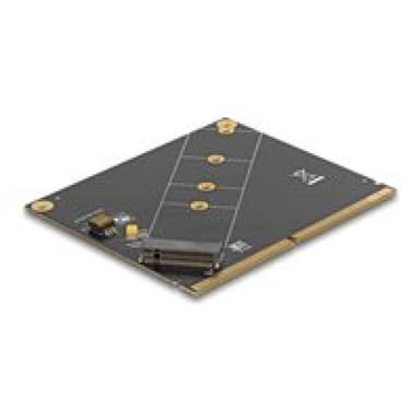 DELOCK Konverter MXM zu M.2 NVMe Key M Slot