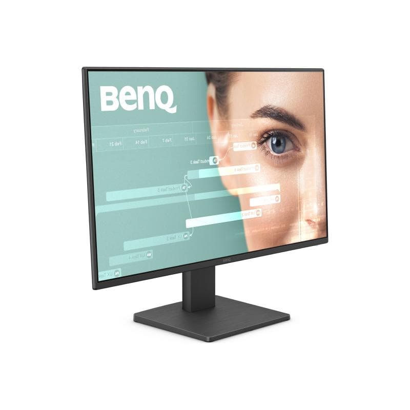 BENQ GW2491 60,5cm (23,8″)