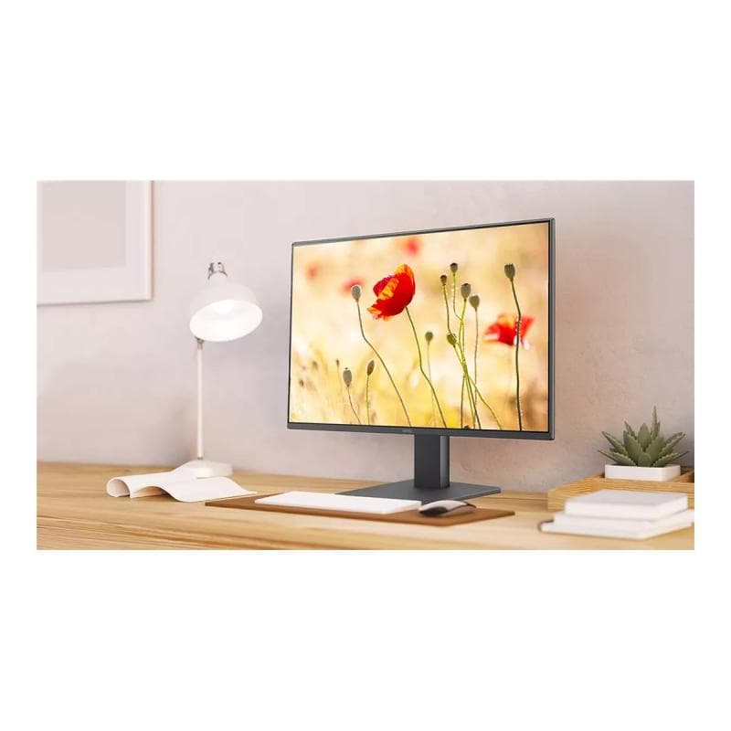 BENQ GW2491 60,5cm (23,8″)