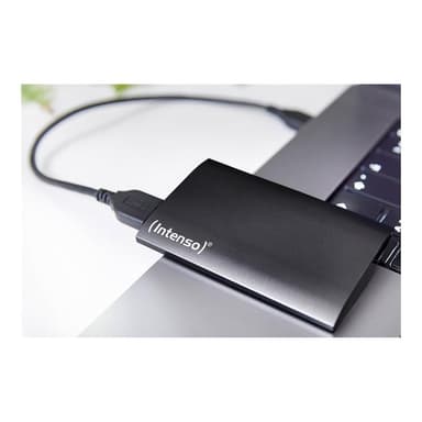 INTENSO Premium black 500GB