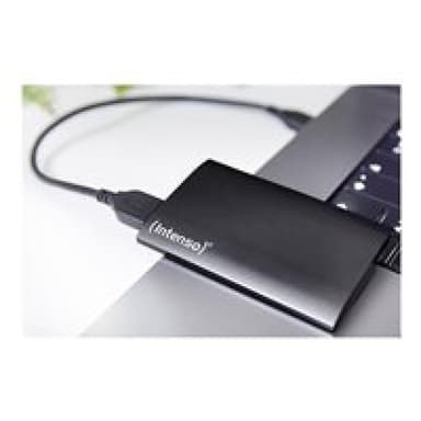 INTENSO Premium black 500GB