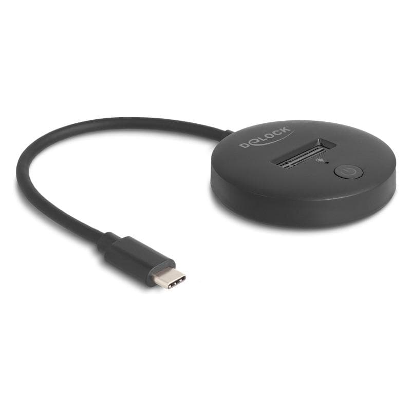 DELOCK M.2 Dockingstation für M.2 NVMe/SATA SSD
